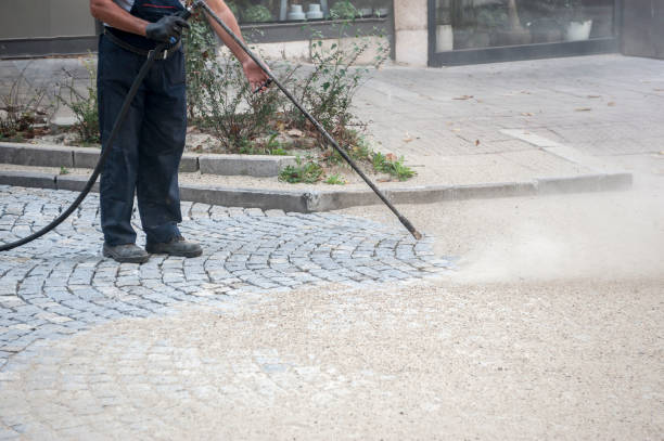 Best Gutter Cleaning  in Westview, FL
